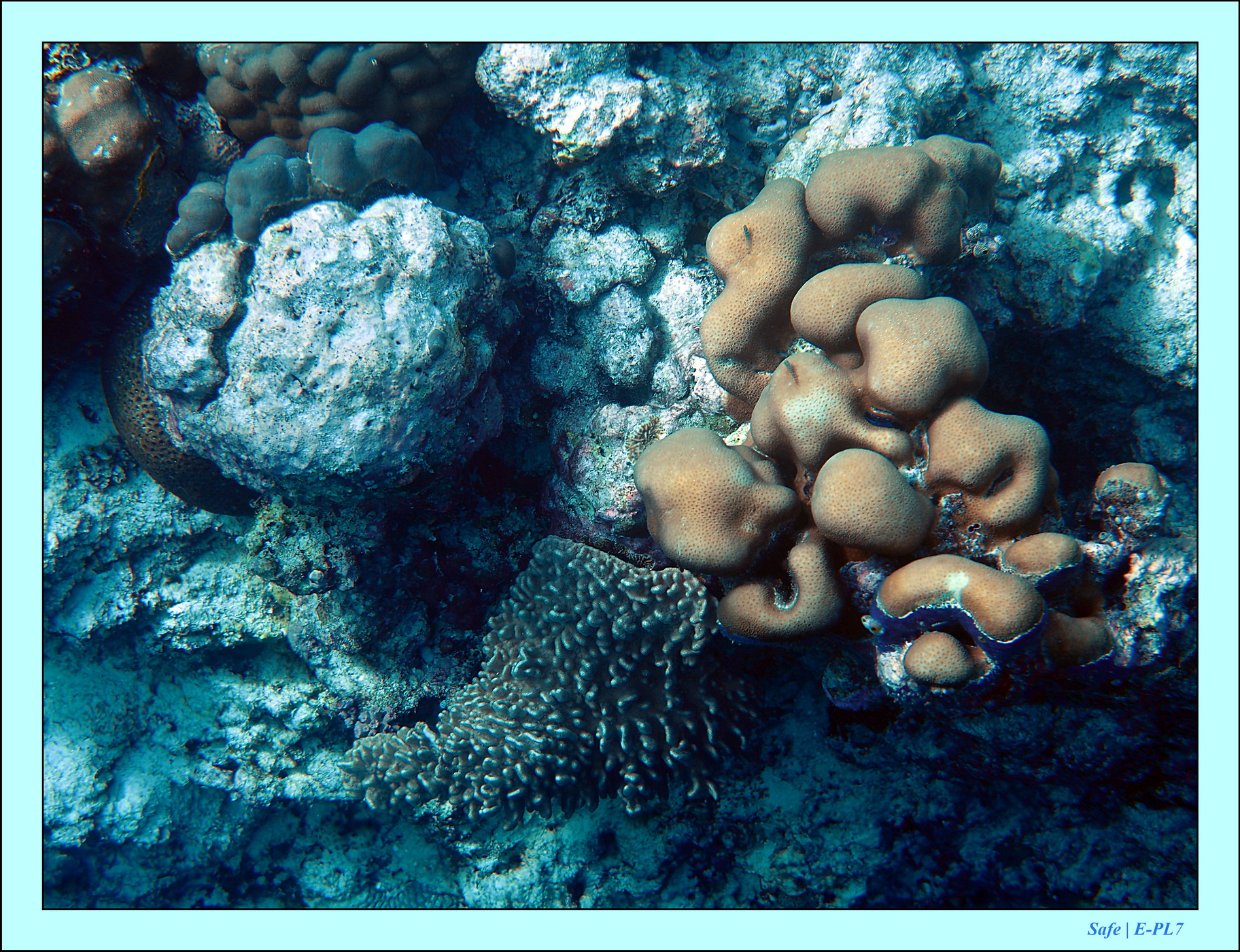 2023 - 07 - Sandies Bathala - 138